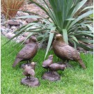 4 quails